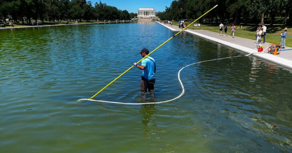 Revamped Reflecting Pool Damaged by ‘Radical Left Lunatics,’ Trump Says